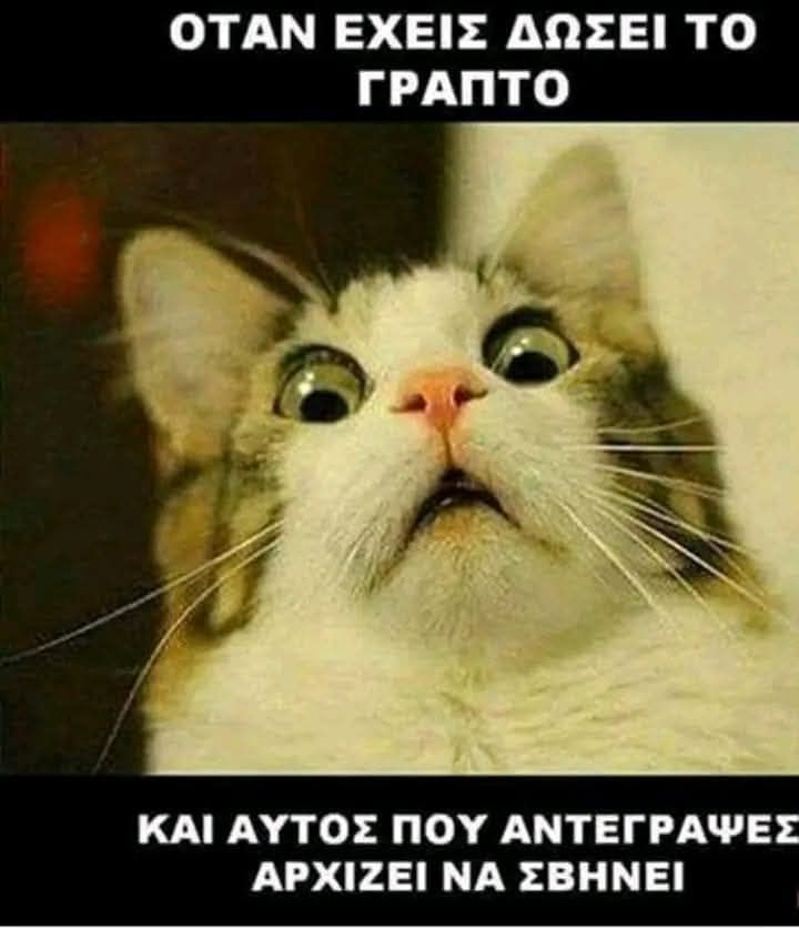 [Εικόνα: 1000000675-jpg.1388721]