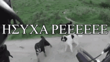 1000004074.gif