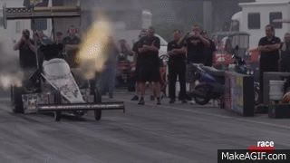 1000004465.gif