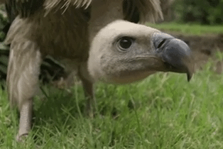 1000005609.gif