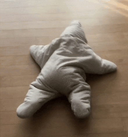 1000006238.gif