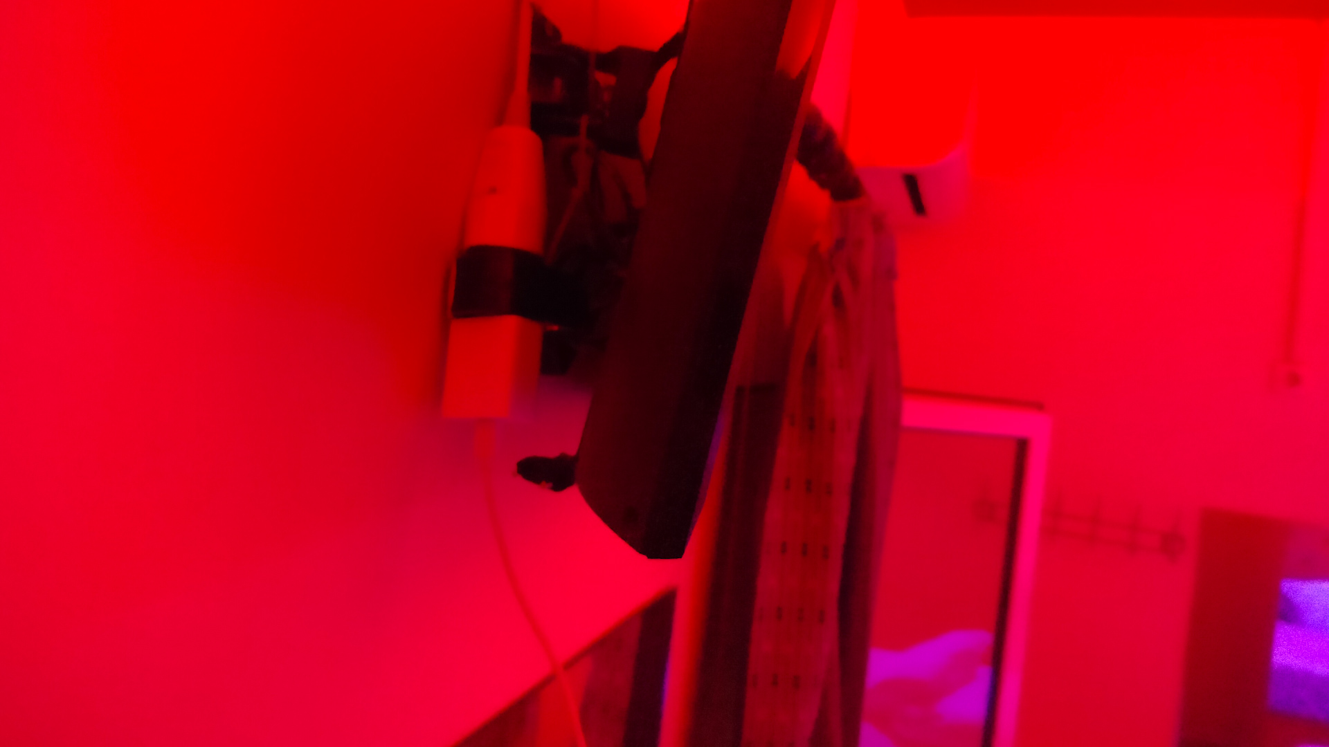 11β.jpg