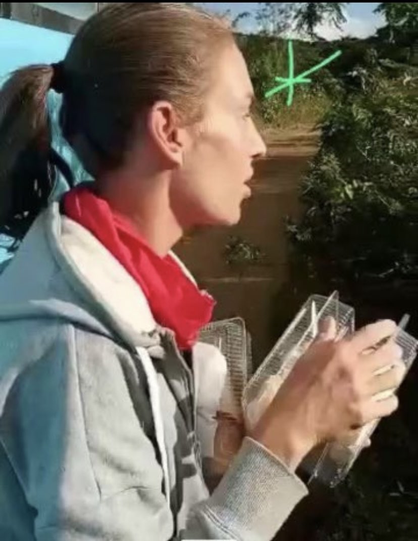 1690135599690.jpeg