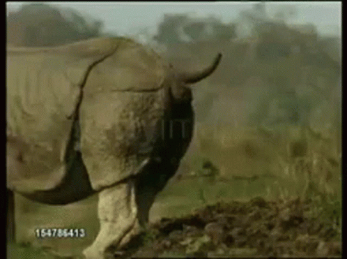 1741989435337.gif
