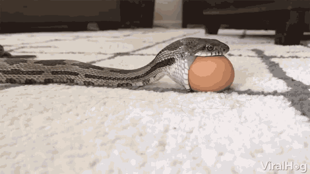 1750791504675.gif