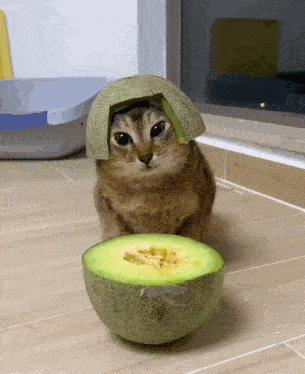 1750941245194.gif