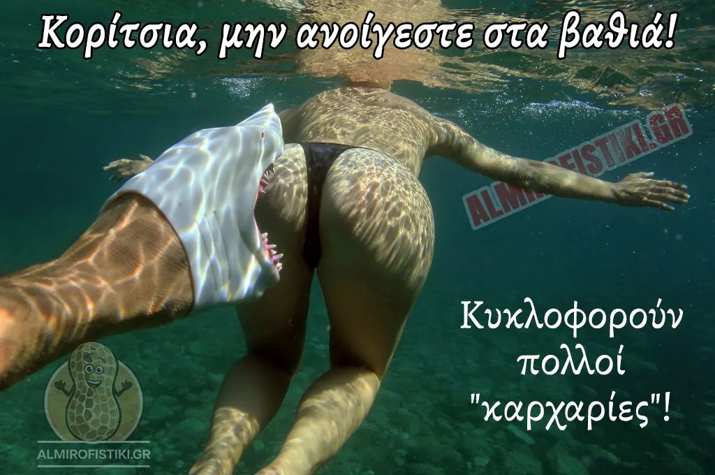 1751642037541.jpeg