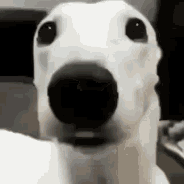 1754549968953.gif