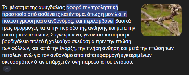 1756496833054.png
