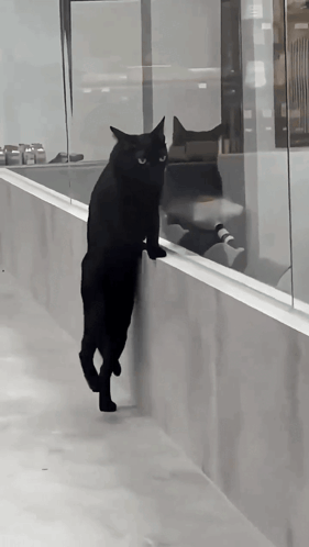 1760271874653.gif