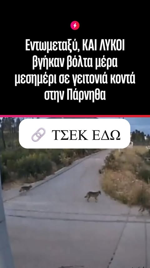 1760548337252.jpeg