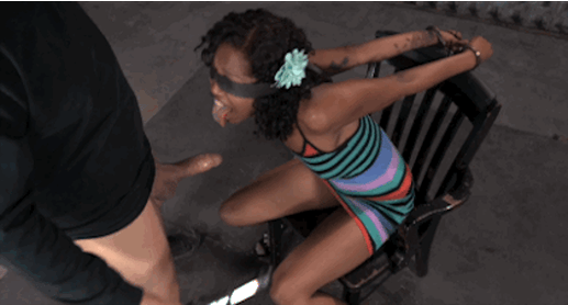 1774164479504.gif