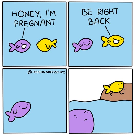 1780333817129.jpeg