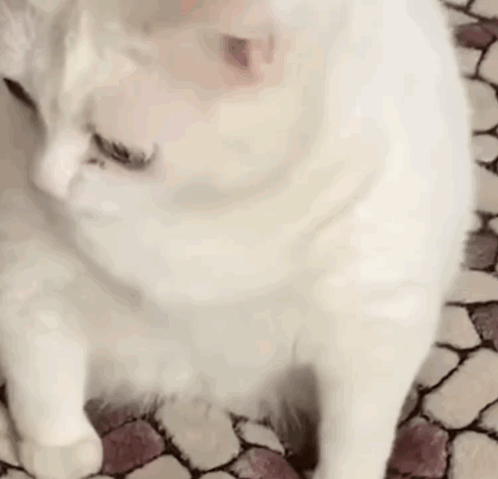 1782492107056.gif