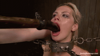 18992.gif