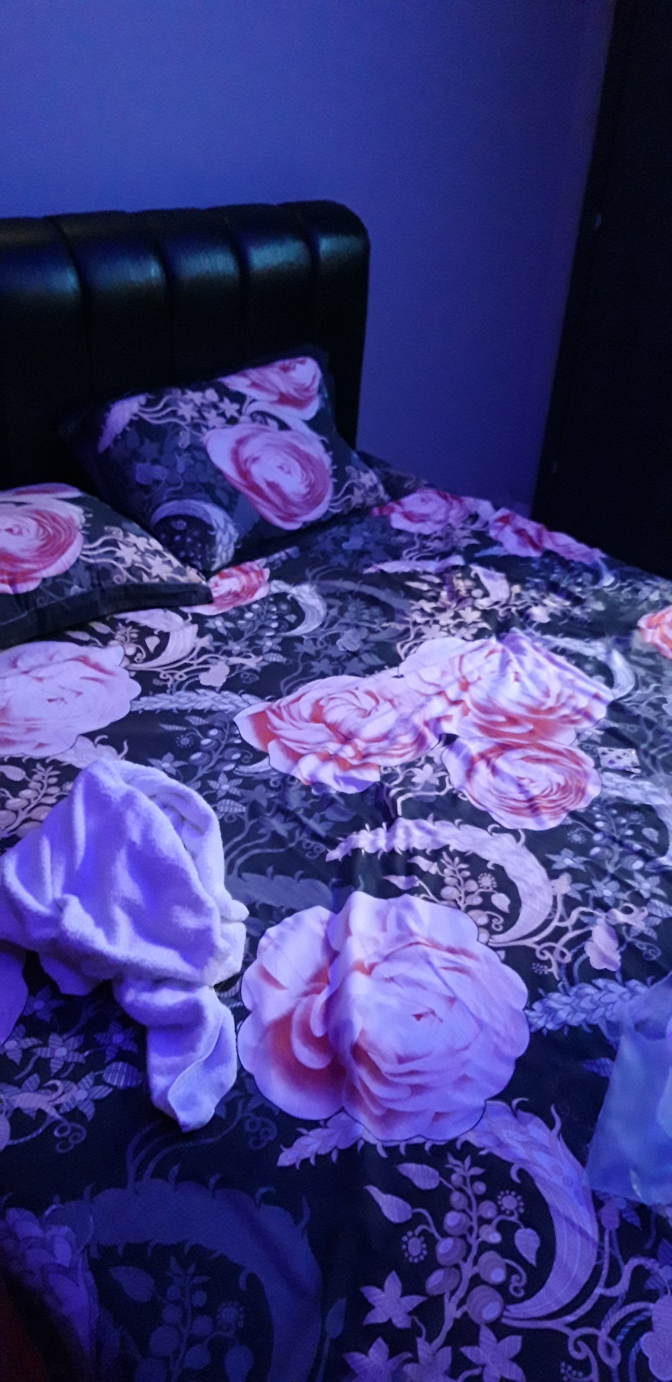 20221118_201603.jpg