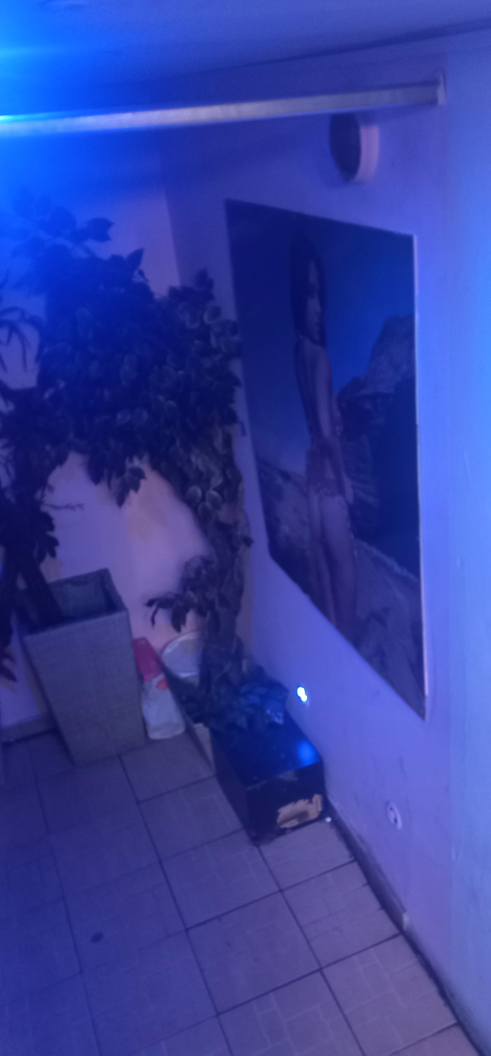 20231106_120837.jpg
