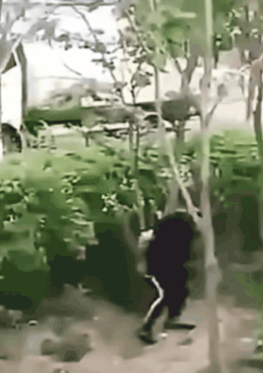 20240403_123539.gif