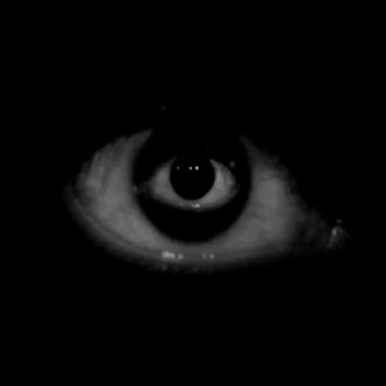 296d2ca3f5d.gif