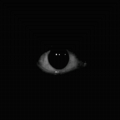 31d5bfbe270a747a29e831a05680e4db.gif