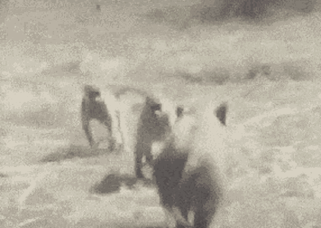 5424.gif