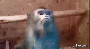 5425.gif