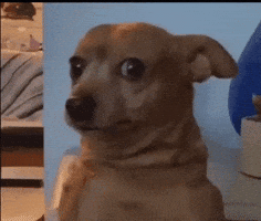 5468.gif