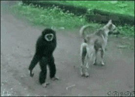 5632.gif