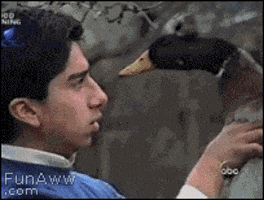 5636.gif