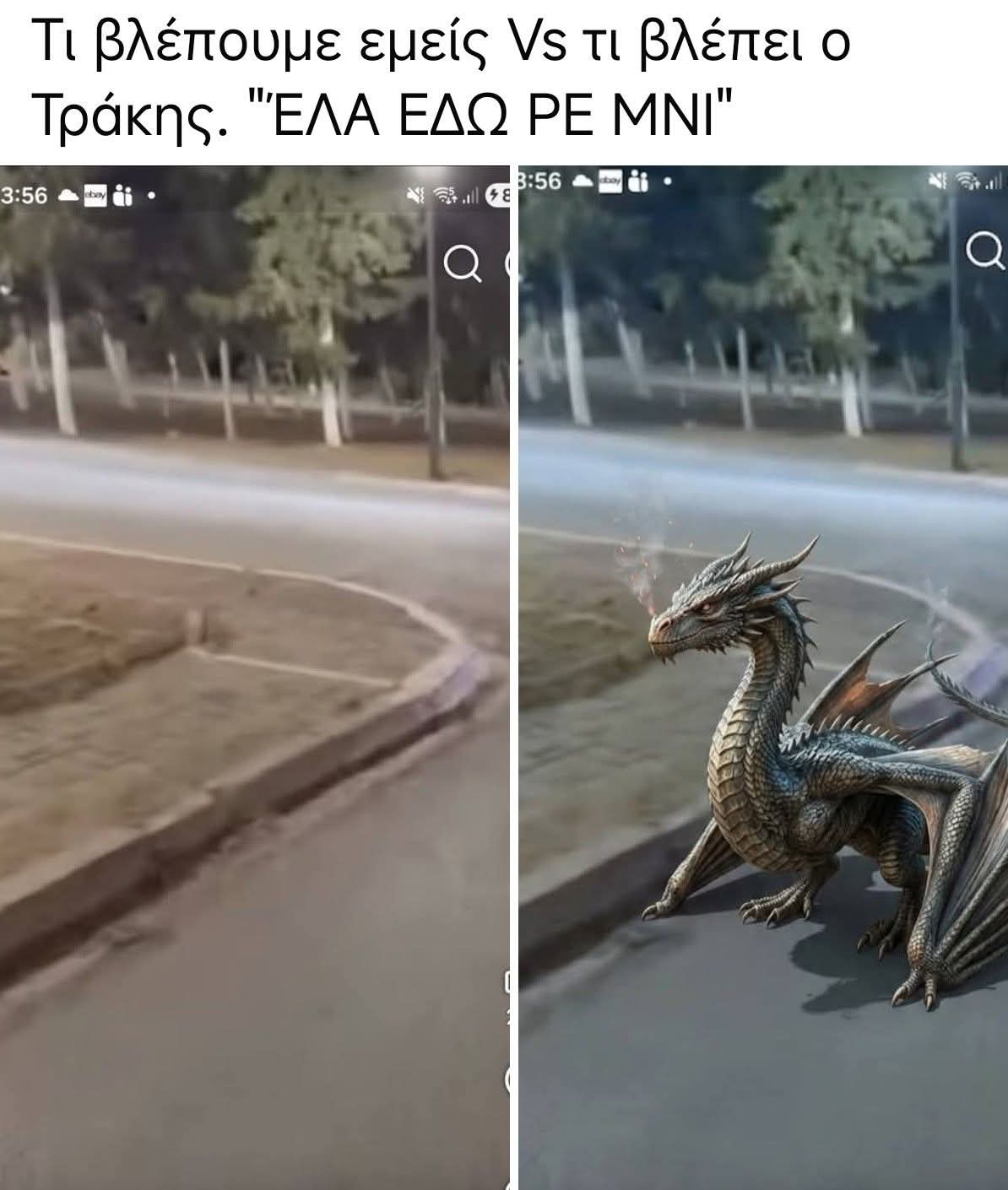 5684.jpg