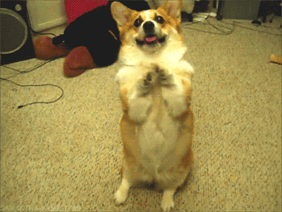 8hyE.gif