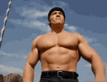 arnold-schwarzenegger-muscles.gif