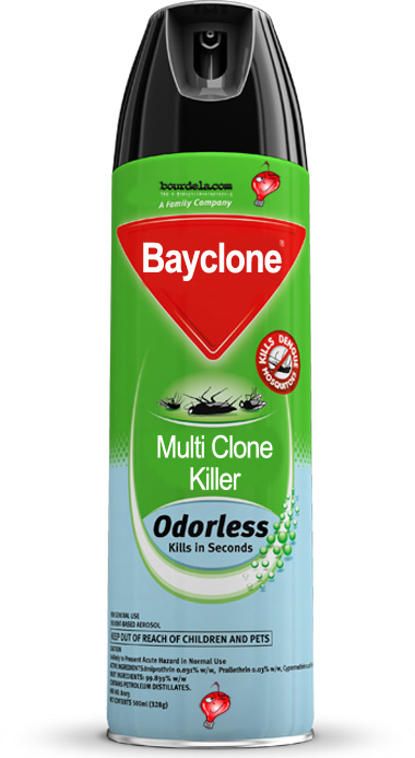 BayClone.jpg