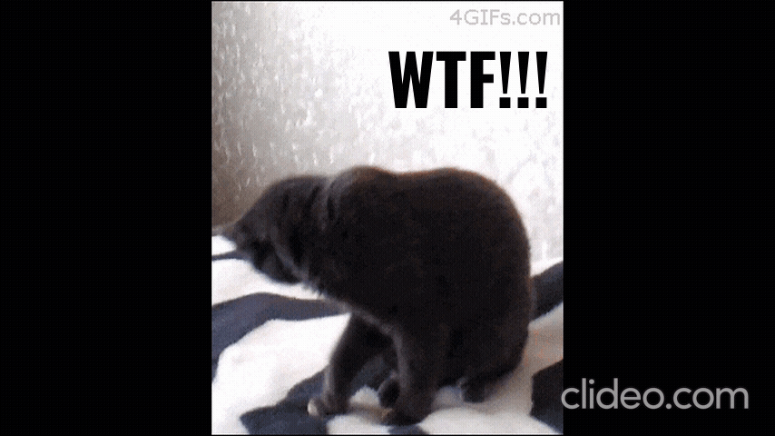 BC_WTF.gif
