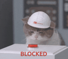 blocked-blocked-cat.gif