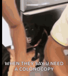 colonoscopy-doctor.gif