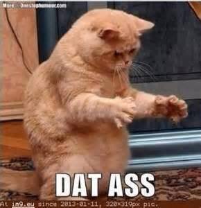 DAt ass.jpg
