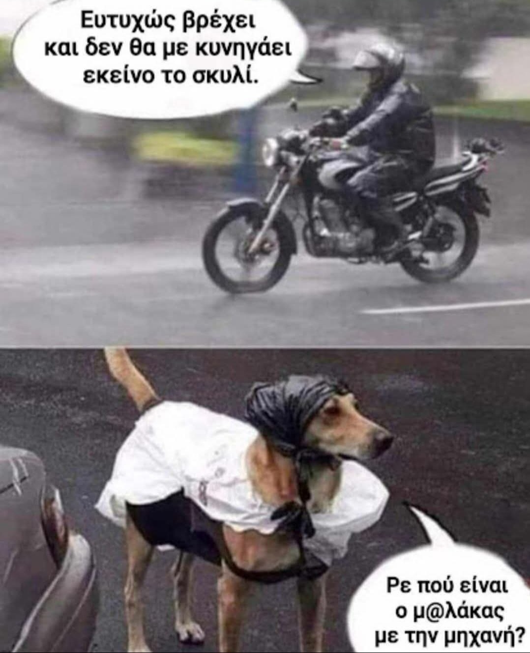 FacF010.jpg