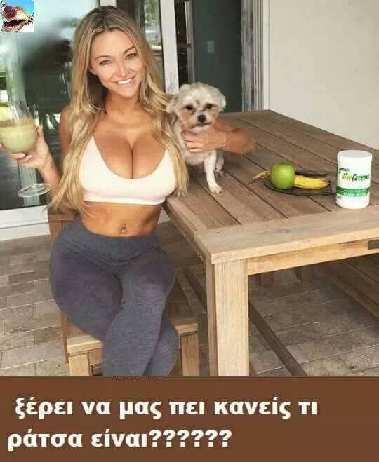 [Εικόνα: fb_img_1784311831744-jpg.1680980]
