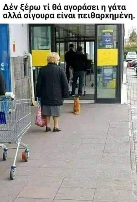 gata...jpg