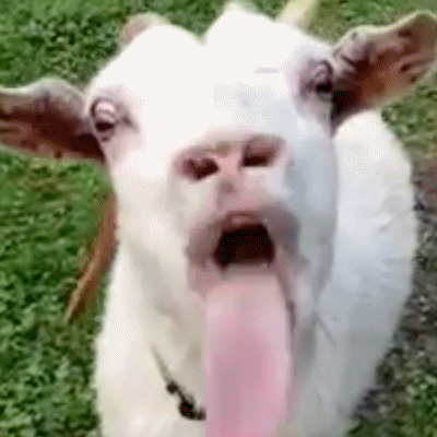 γλ.gif