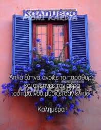 images (31).jpeg