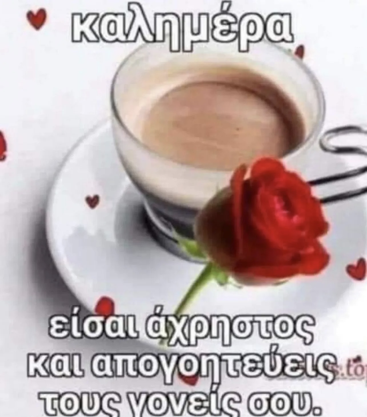 IMG_1170.jpeg