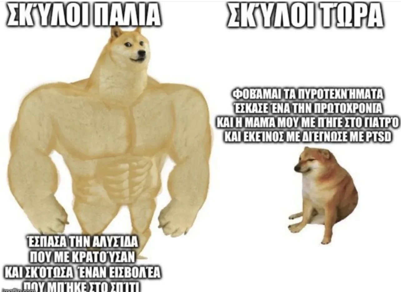 IMG_1173.jpeg