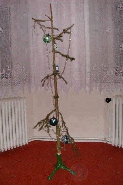 IMG_1835.jpeg