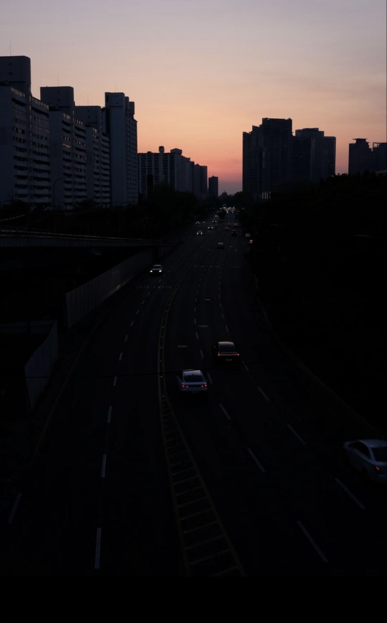 IMG_6145.jpeg