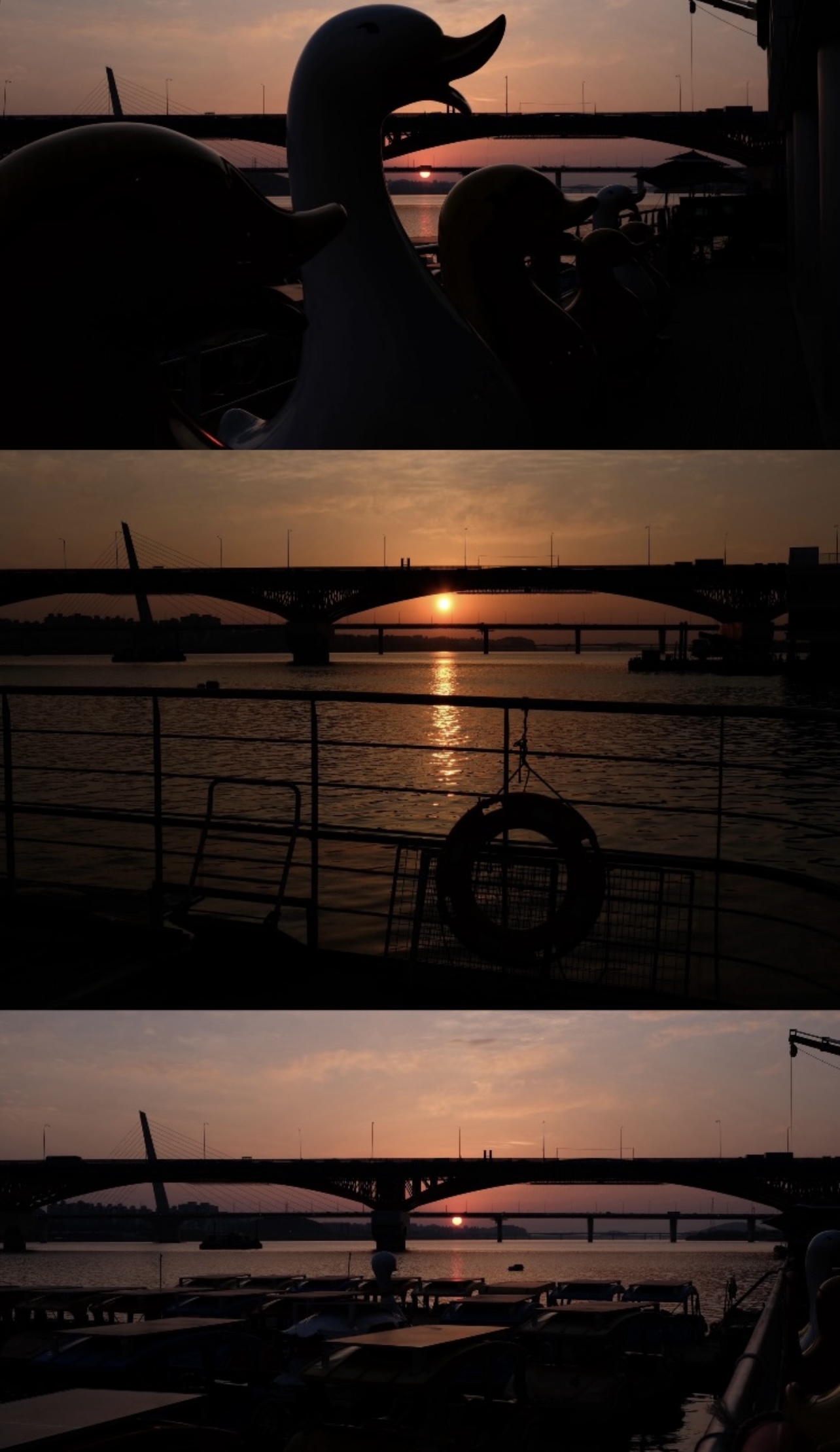 IMG_6509.jpeg