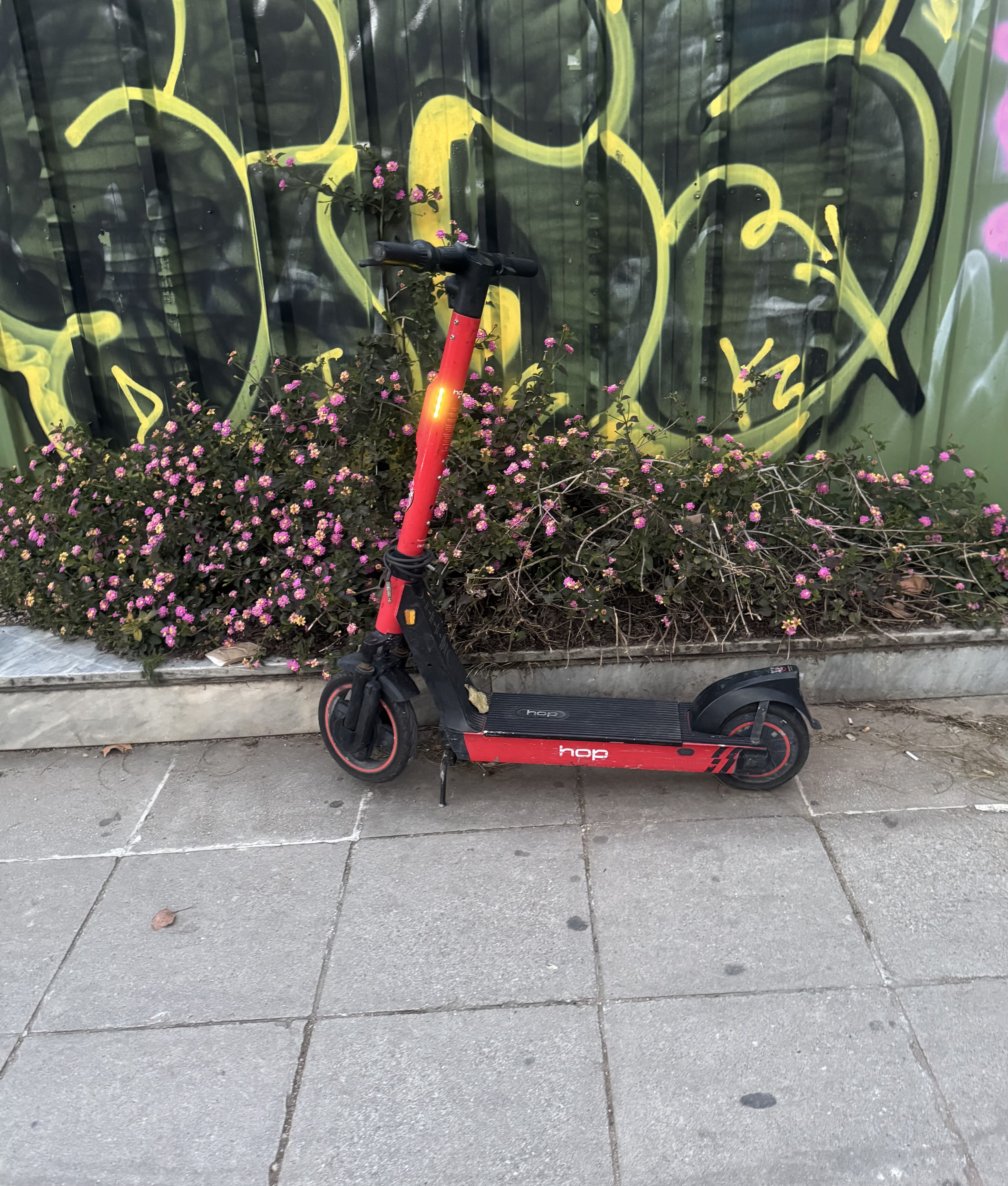 IMG_6655.jpeg
