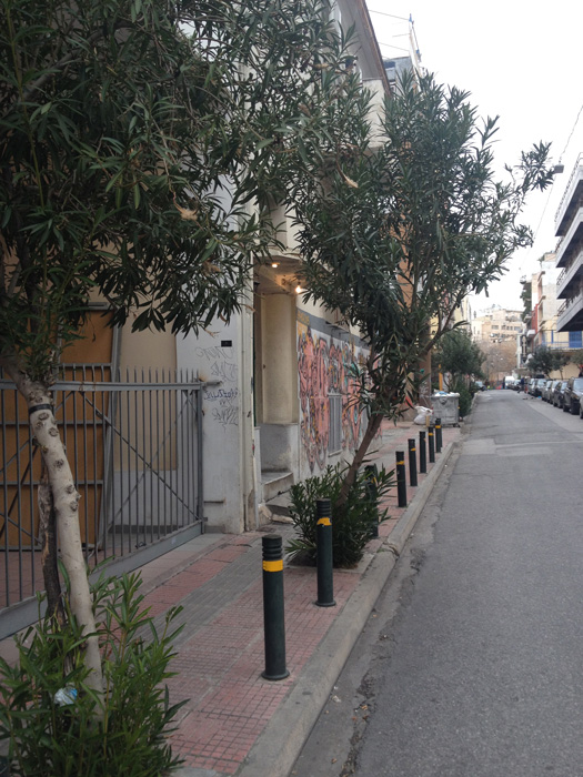 IMG_7991.jpeg