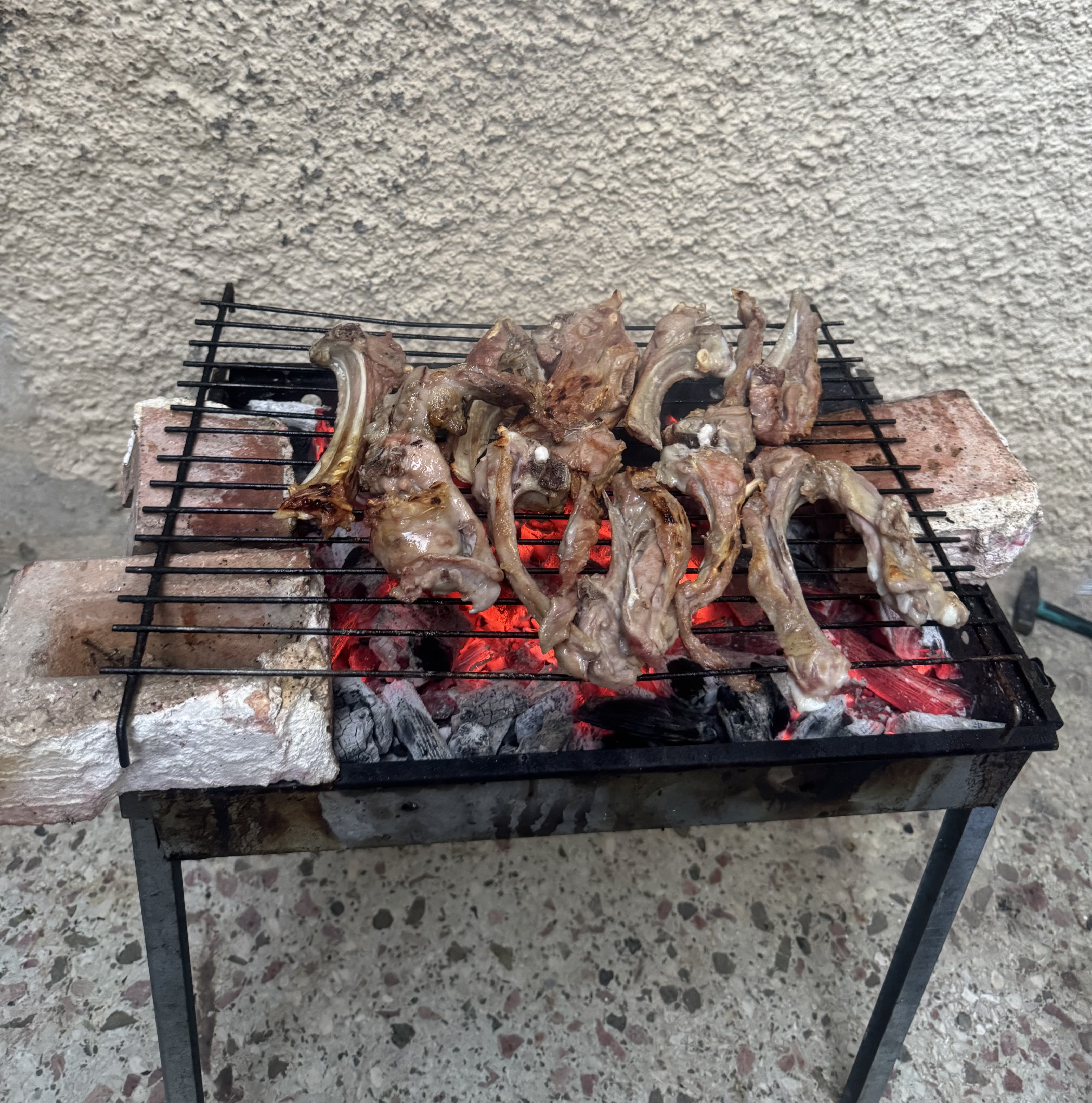 IMG_8224.jpeg